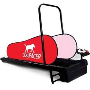 Domestic Pet Dogpacer Dog Treadmill Interaction