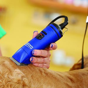 Andis AGRV PowerGroom+ Clipper with 10 UltraEdge Blade