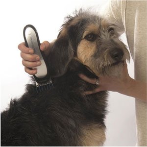 wahl performer rechargeable pet clipper