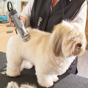 the best professional dog grooming clippers