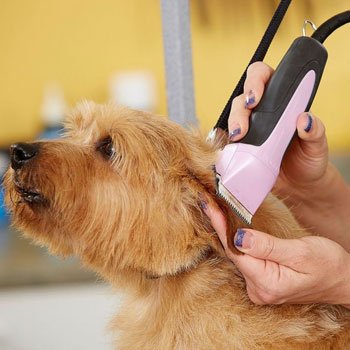 Andis EasyClip Pro-Animal 5-Speed Detachable Blade Clipper Kit