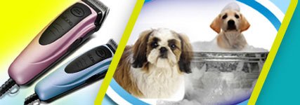Best Dog Clippers