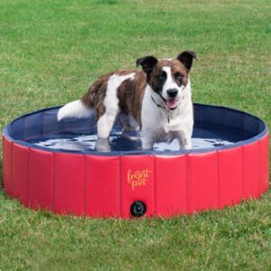FrontPet Foldable Dog Pool Bathing Tub